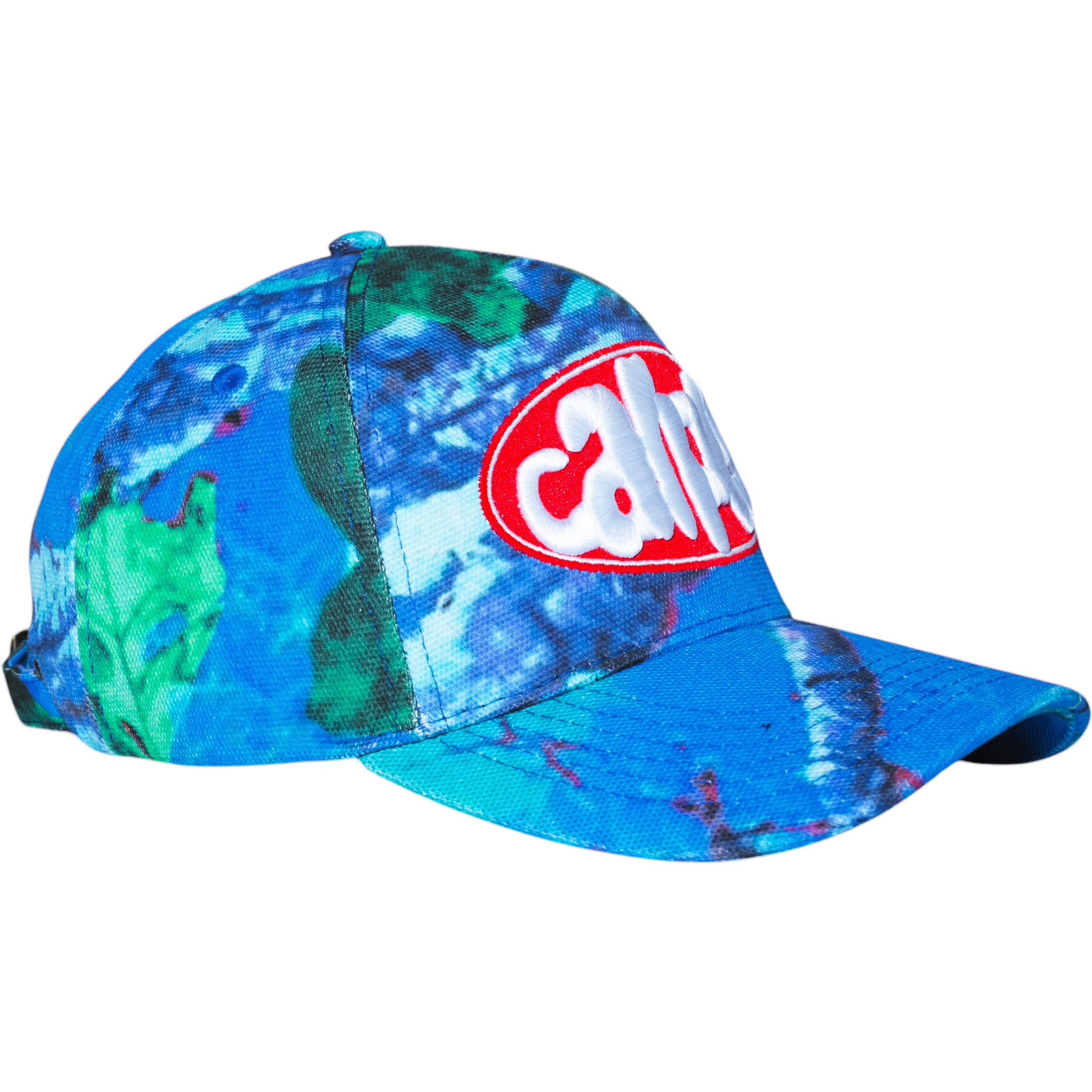 へ*ん様 新品　CARPET COMPANY REALTREE HAT BLUE Carpet Company Blue Realtree Hat — Skatepark of Tampa